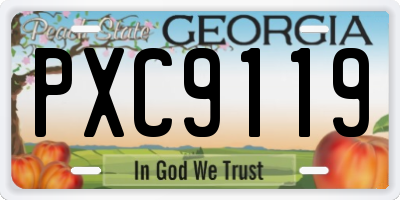 GA license plate PXC9119