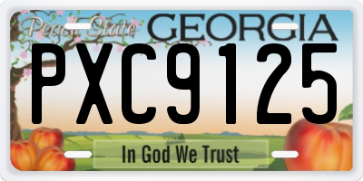 GA license plate PXC9125