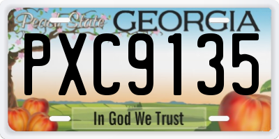 GA license plate PXC9135