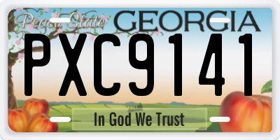 GA license plate PXC9141
