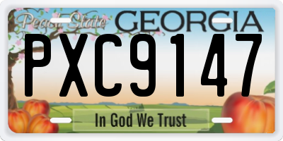 GA license plate PXC9147