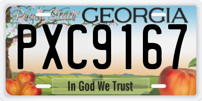 GA license plate PXC9167
