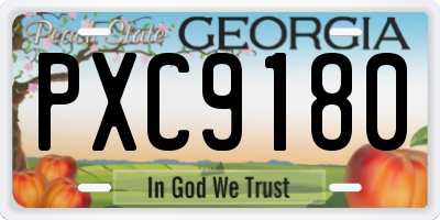 GA license plate PXC9180