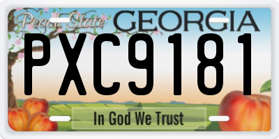 GA license plate PXC9181