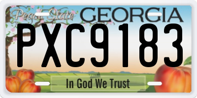 GA license plate PXC9183