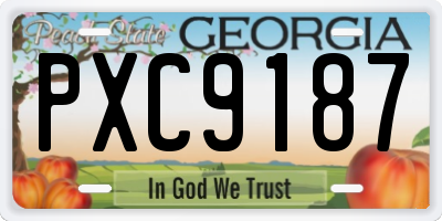 GA license plate PXC9187