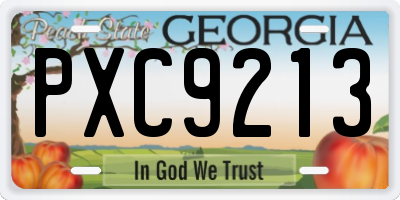 GA license plate PXC9213