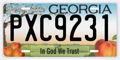 GA license plate PXC9231