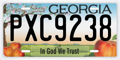 GA license plate PXC9238