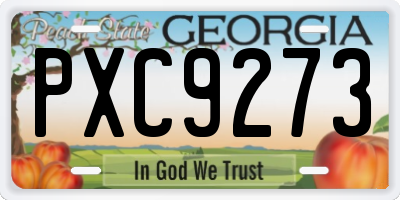 GA license plate PXC9273