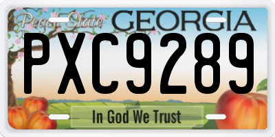 GA license plate PXC9289