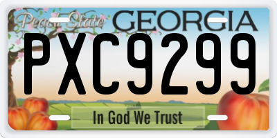 GA license plate PXC9299