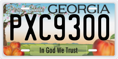 GA license plate PXC9300