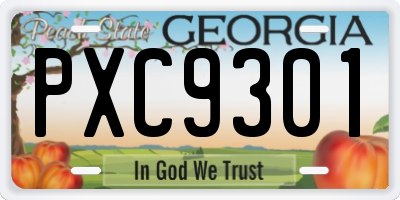 GA license plate PXC9301