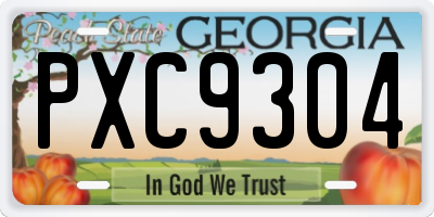 GA license plate PXC9304