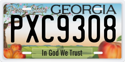GA license plate PXC9308