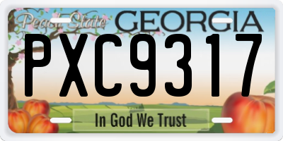 GA license plate PXC9317