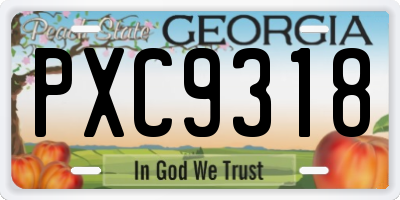 GA license plate PXC9318