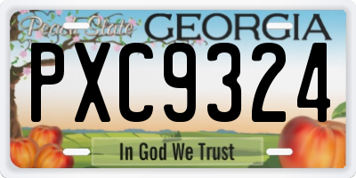 GA license plate PXC9324