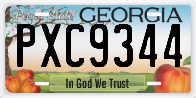 GA license plate PXC9344