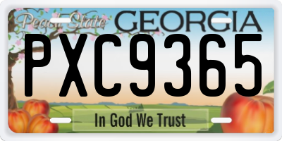 GA license plate PXC9365