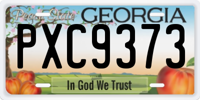 GA license plate PXC9373