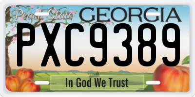 GA license plate PXC9389