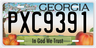 GA license plate PXC9391