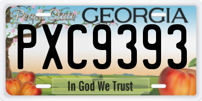 GA license plate PXC9393
