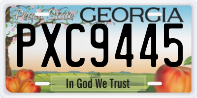 GA license plate PXC9445