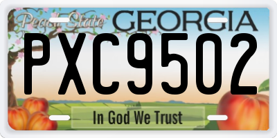 GA license plate PXC9502