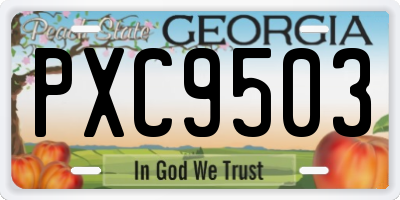 GA license plate PXC9503