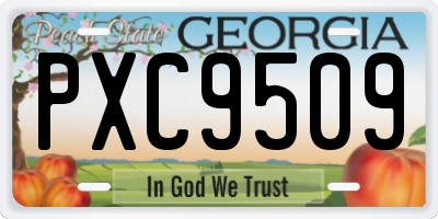 GA license plate PXC9509