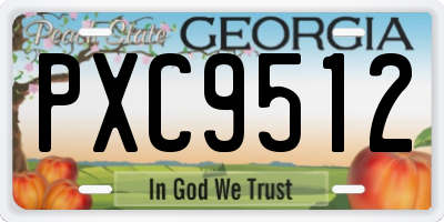 GA license plate PXC9512