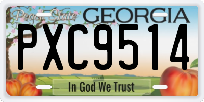 GA license plate PXC9514