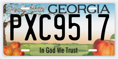 GA license plate PXC9517