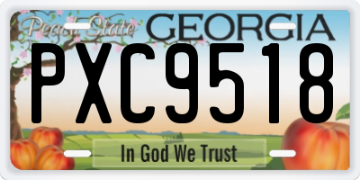 GA license plate PXC9518
