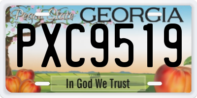 GA license plate PXC9519
