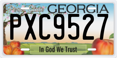 GA license plate PXC9527