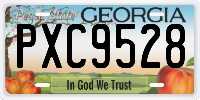 GA license plate PXC9528