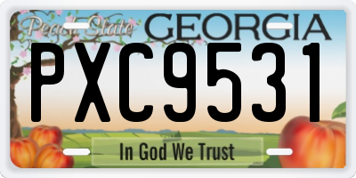 GA license plate PXC9531