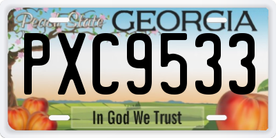 GA license plate PXC9533