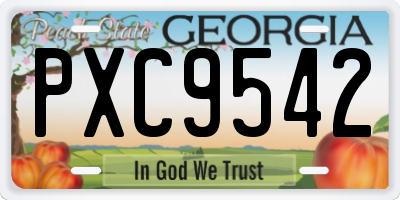 GA license plate PXC9542