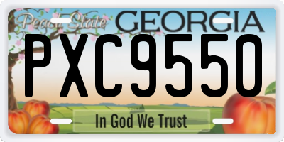 GA license plate PXC9550
