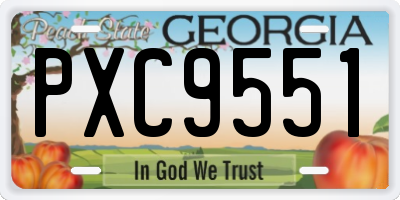 GA license plate PXC9551