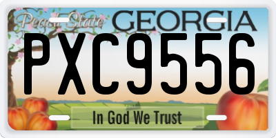 GA license plate PXC9556