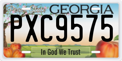 GA license plate PXC9575