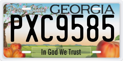 GA license plate PXC9585