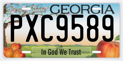 GA license plate PXC9589