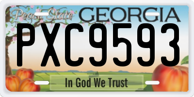 GA license plate PXC9593